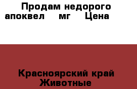 Продам недорого апоквел 16 мг. › Цена ­ 3 000 - Красноярский край Животные и растения » Аксесcуары и товары для животных   